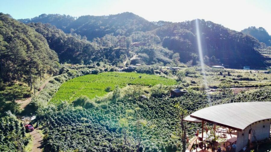 Trekking to Hidden Waterfall & Sturgeon Farm for dog-lovers - Key Points