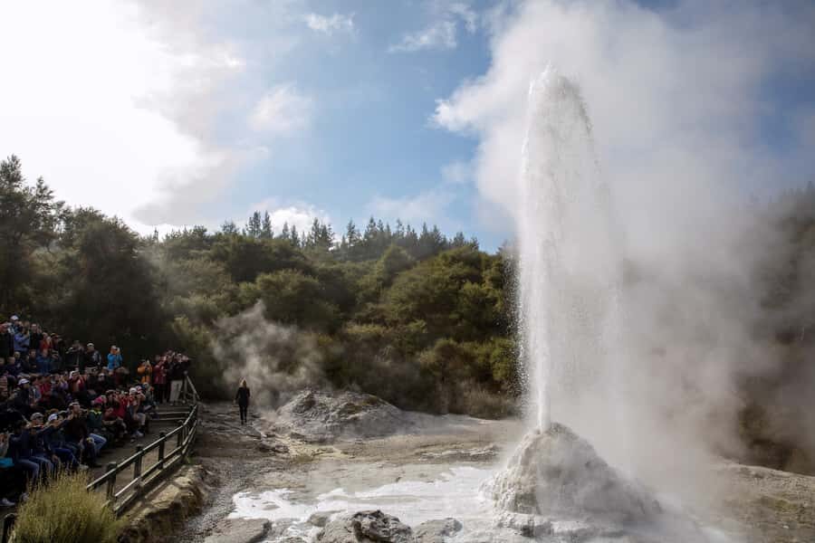 TRIPLE DEAL Wai-O-Tapu, Redwood & Blue Spring from Auckland - What to Expect and Practical Tips
