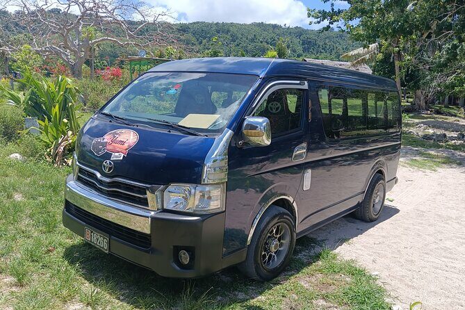 Turtle Encounter with Yumi Tours - What Travelers Say