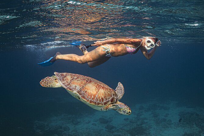 Turtle Snorkeling Aruba: Private Tour with Video - Who Guides Make a Difference: The Role of Knowledgeable Guides
