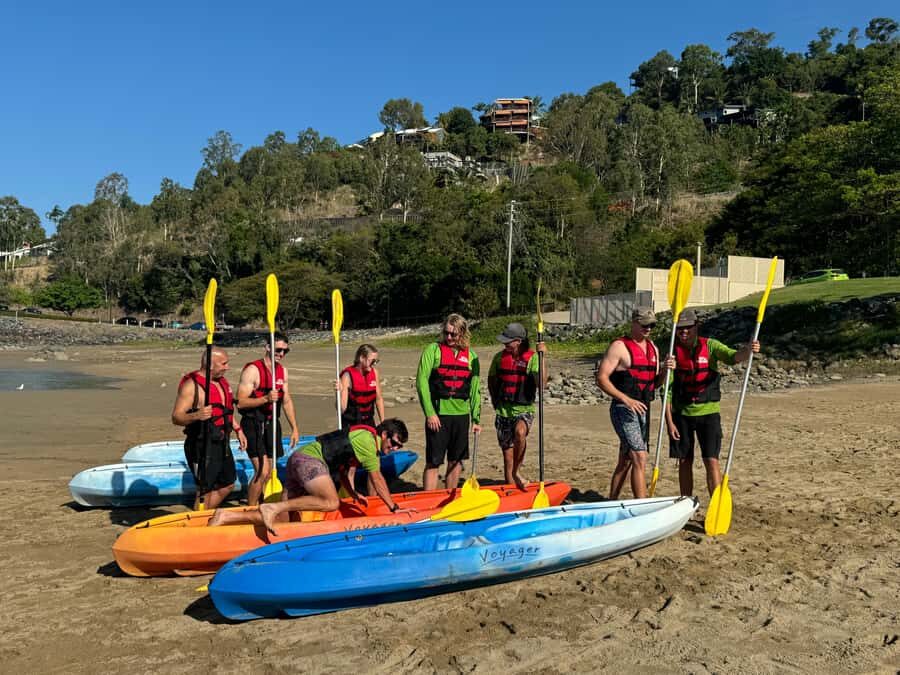 Turtle spotting-Double kayak hire Shingley beach - A Closer Look at the Kayak Experience