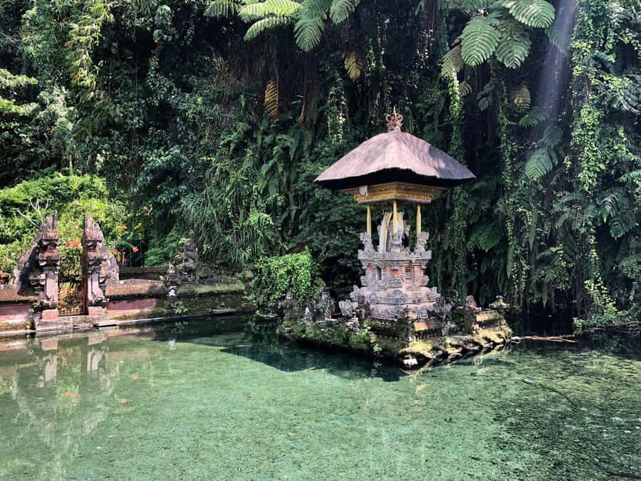 Ubud: Cretya Infinity Pool, Hidden Waterfall & Water Temple - Practical Details and Why They Matter