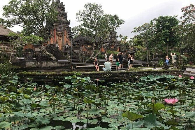 Ubud Jungle Cart Adventure + Volcano view Tour. - Authentic Experiences and Traveler Feedback