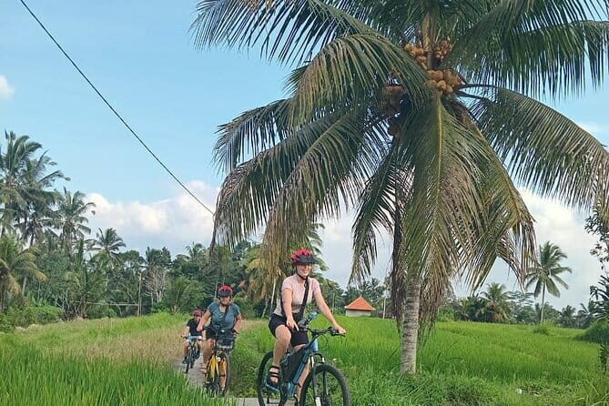 Ubud : Kintamani Downhill Cycling Tour with Lunch - The Sum Up: Why Choose This Tour?