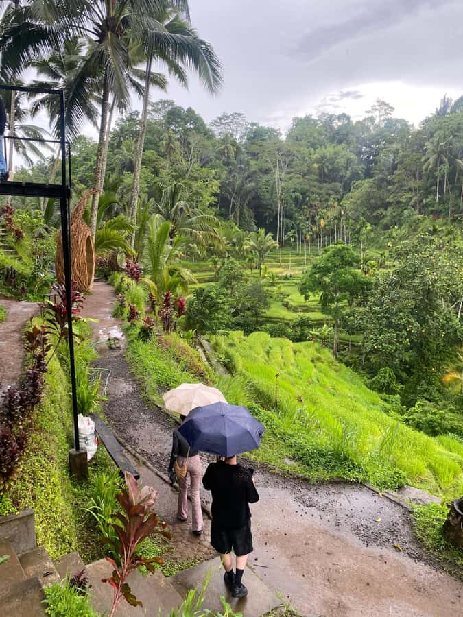 Ubud: Rice Terrace, Monkey Forest, Temple, & Waterfall - Final Thoughts