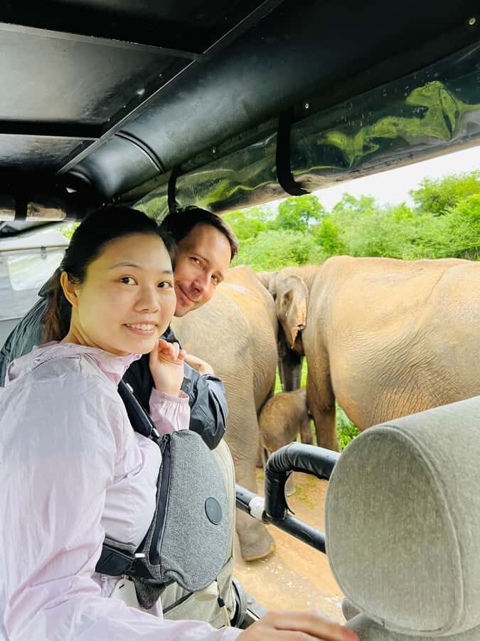 Udawalawe Safari All Inclusive Park Entrance, Jeep & Meals - The Itinerary Breakdown