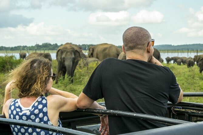 Udawalawe Safari Day Trip with Return Transport - All Inclusive - Frequently Asked Questions