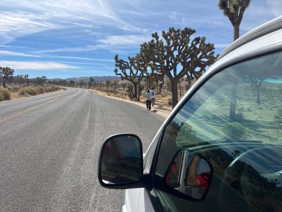 Ultimate Joshua Tree National Park Private Group Adventure - Who is This Tour Best For?