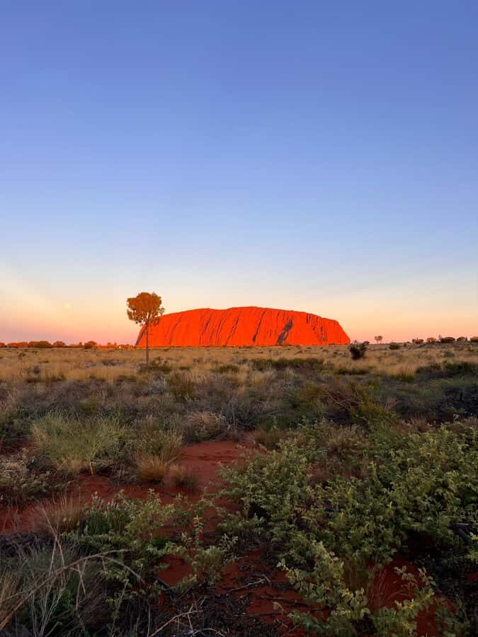 Uluru: 4-Day Rock to Rock Adventure Tour - The Experience: What’s Included & What to Expect