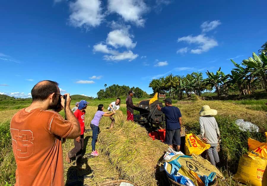 Uncrowded Bohol: Tarsiers, Chocolate Hills & Local Lunch - A Deep Dive into the Tour Experience