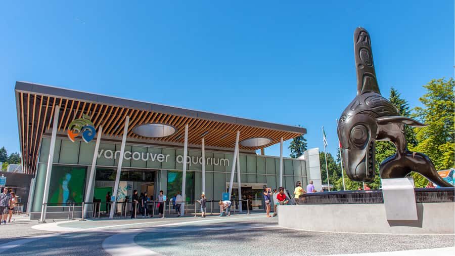 Vancouver Aquarium: Skip-the-Line Ticket - What You Can Expect During Your Visit