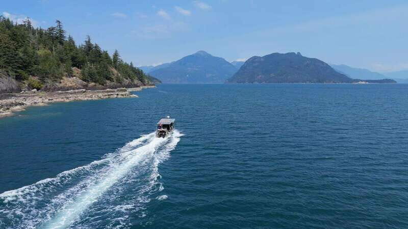 Vancouver: Snorkeling Seals Kayaking Scenic Boat Tour - Who Should Consider This Tour?