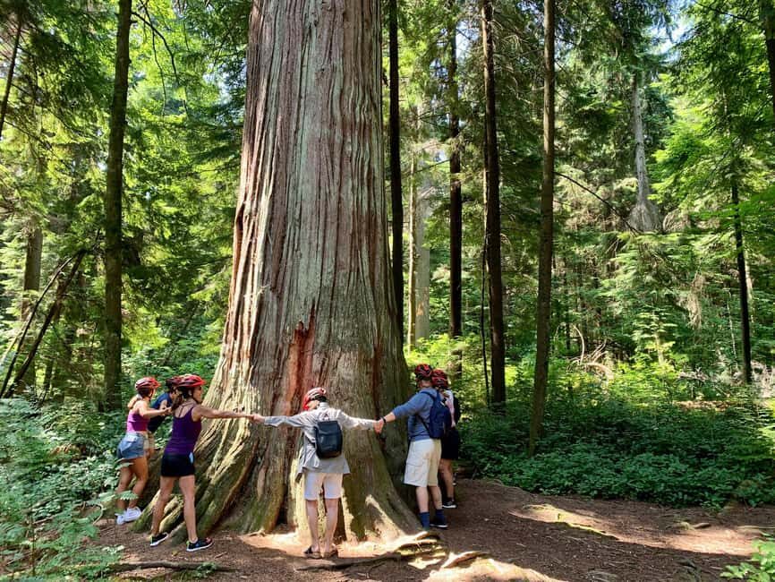 Vancouver: Stanley Park Bike Tour | E-Bike Upgrade Avail. - What to Expect During the Tour