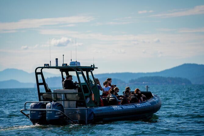 Vancouver's Intimate West Coast Whale Watching Experience - The Experience: What Sets It Apart