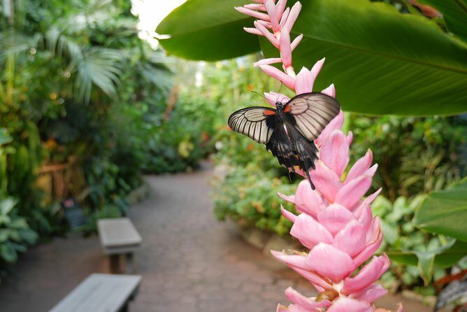 Victoria Butterfly Gardens Ticket - The Itinerary in Detail