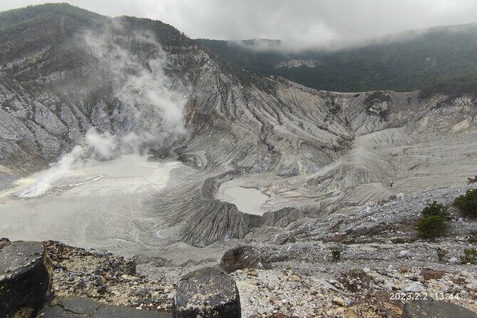 Volcano, Hot Spring, Tea Factory, rice fields and Coffee Tour - Who Should Consider This Tour?