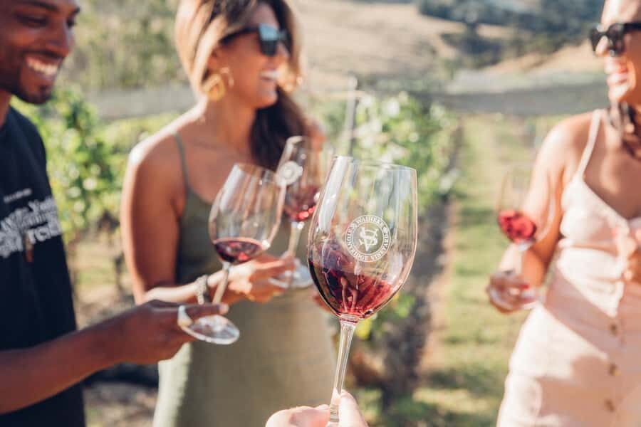 Waiheke Island: Afternoon Wine Tour with Oceanfront Lunch - Pricing and Value Considerations