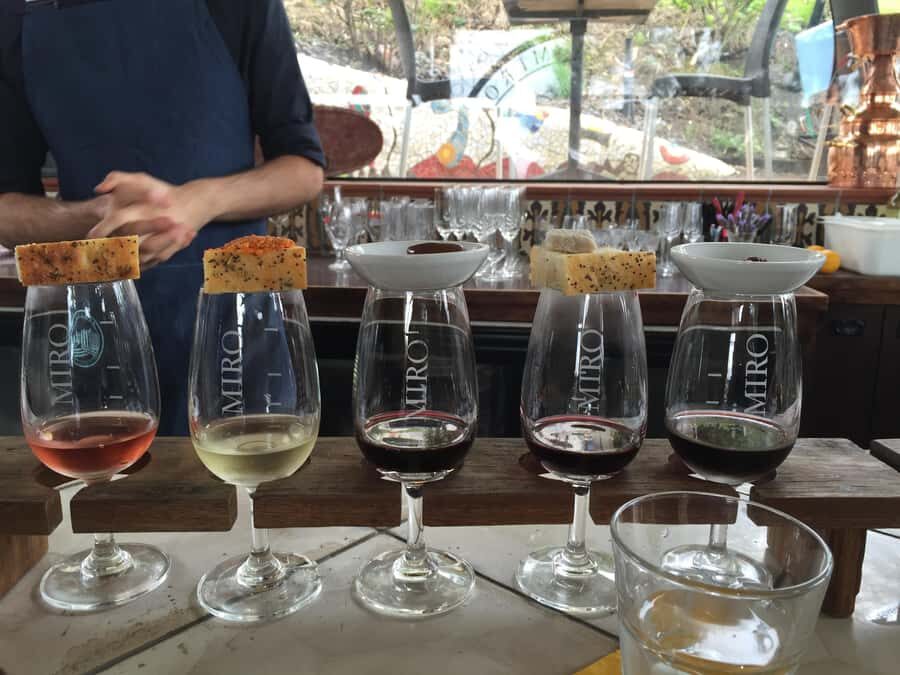 Waiheke Island Wine Tours - PREMIUM Wines - Max 11 clients ! - Who Is This Tour Best For?