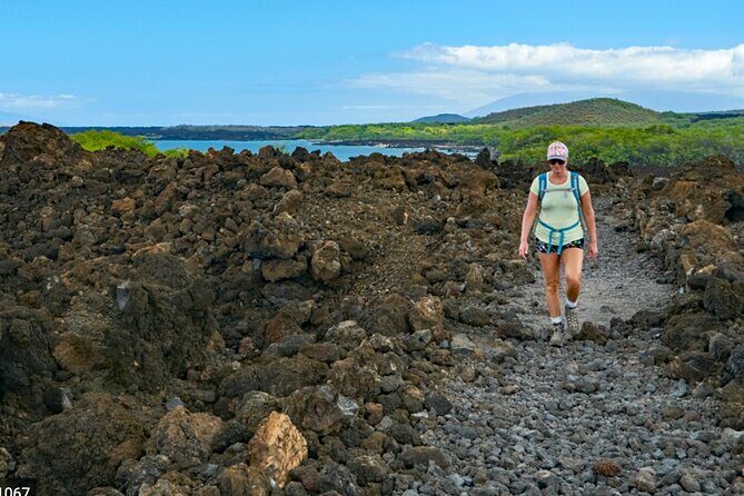 Wailea Wildlife Tour with Snorkeling - The Sum Up