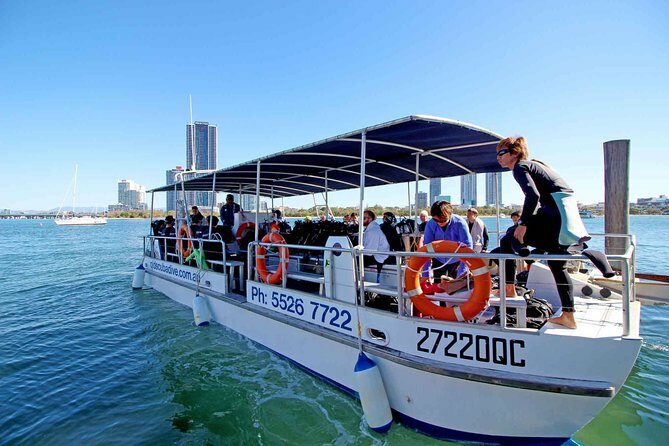 Wave Break Island Snorkel Tour on the Gold Coast - Who Will Love This Tour?