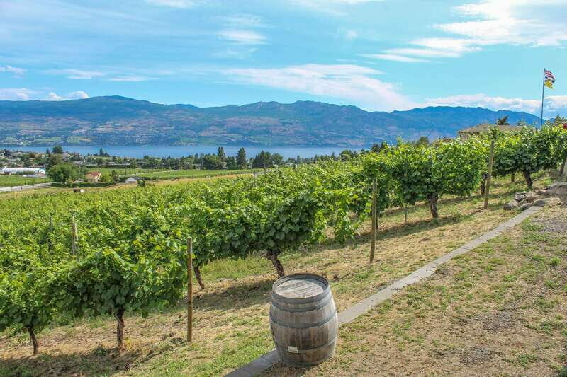 West Kelowna: Afternoon Sightseeing and Wine Tour - Practical Details: What You Need to Know