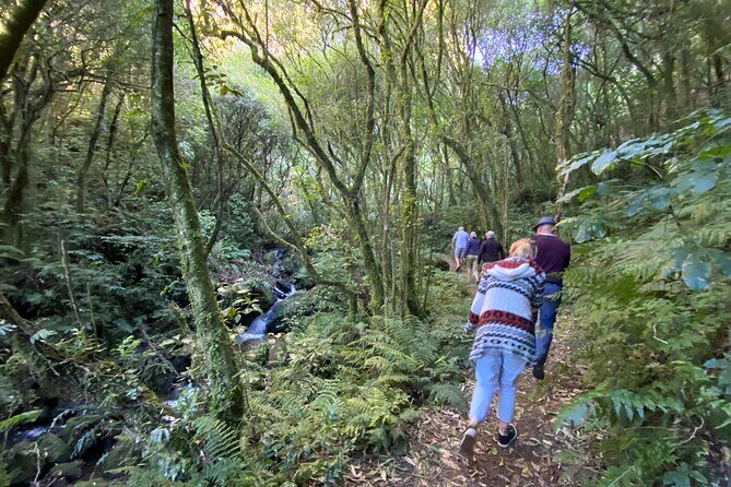 Western Bays Sightseeing Tour from Kinloch Lake Taupo - Why This Tour Stands Out