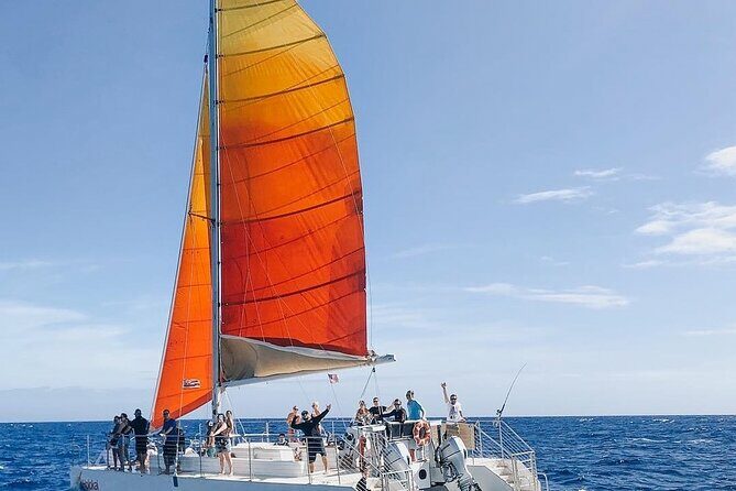 Whale Watching Sail in Honolulu with Open Bar - Exploring the Details of the Honolulu Whale Watching Sail