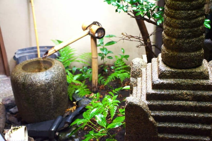 Whisk Your Own Matcha: A Zen Tea Ceremony Experience - The Value of the Experience