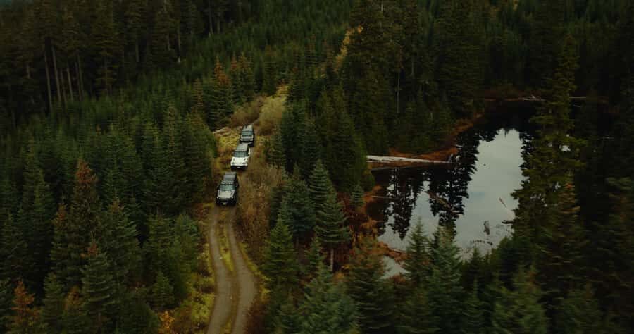 Whistler: Afternoon/Evening Bear Viewing Scenic Tour - Wildlife Watching – A Game of Chance
