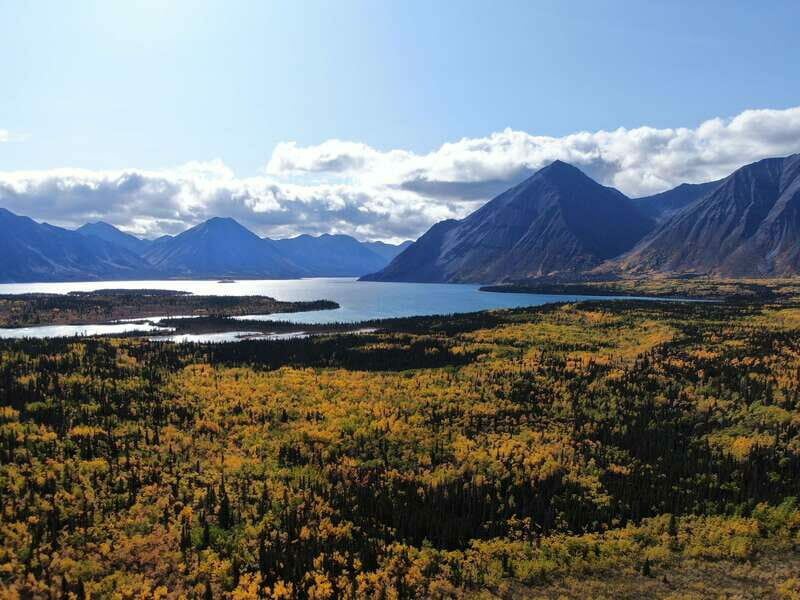 Whitehorse: Kluane - Wildlife & Vistas - An In-Depth Look at the Tour Experience