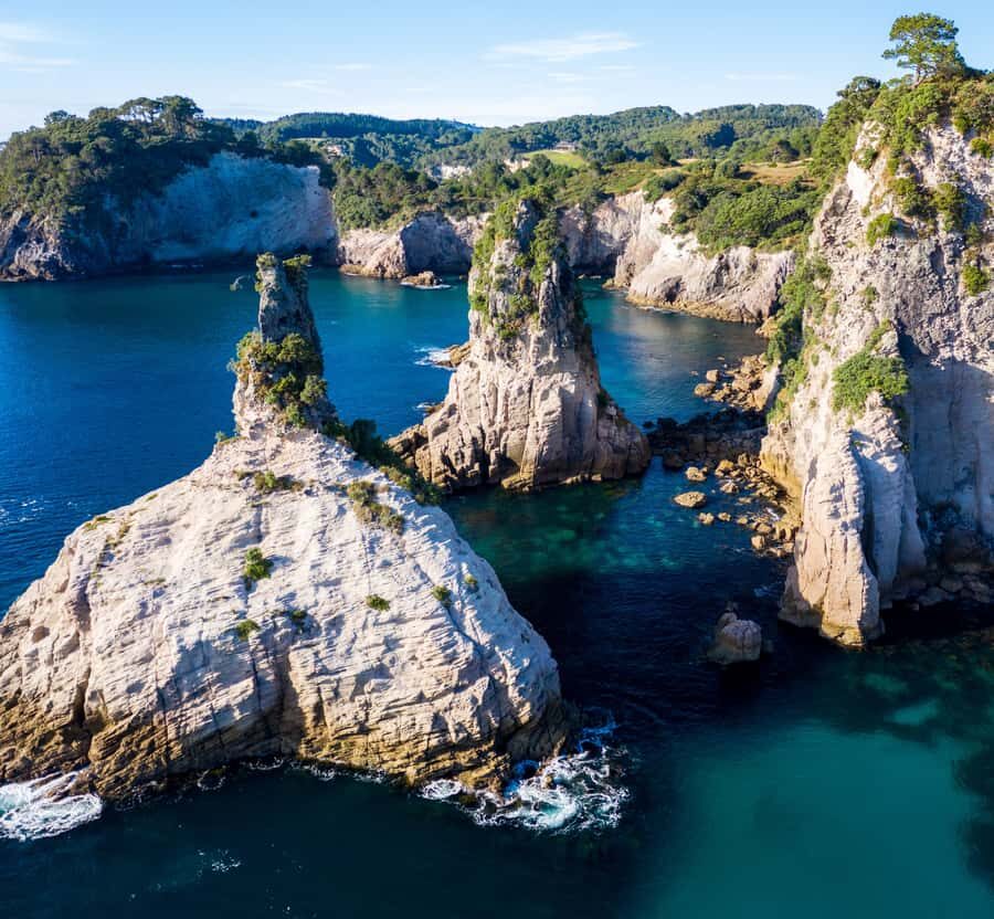 Whitianga: 2-Hour Cathedral Cove and Volcanic Coast Cruise - Wildlife and Nature: Expect the Unexpected