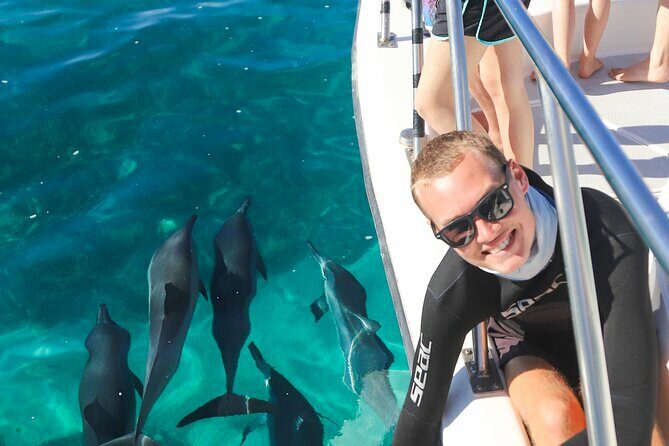 Wild Dolphin Swim, Turtle, Whale Safari with Guided Snorkeling - Introduction to the Experience