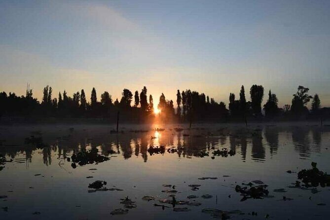 Xochimilco in Kayak - Exploring the Itinerary: What to Expect