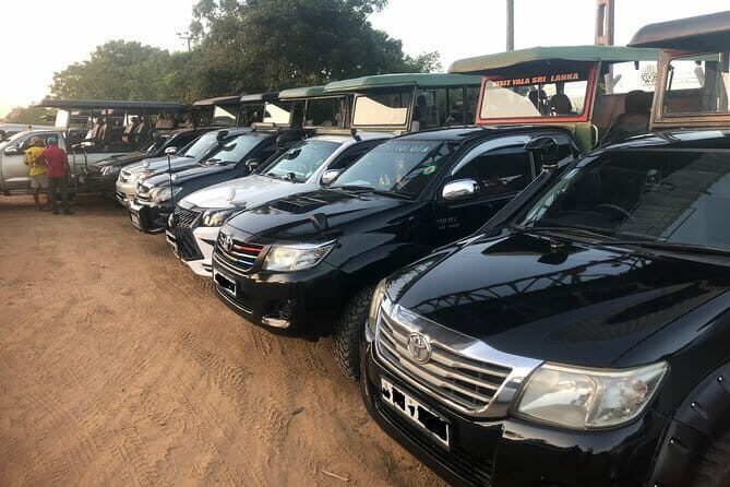 Yala and Udawalawa Safari Tour From Hambantota port - Detailed Breakdown of the Itinerary