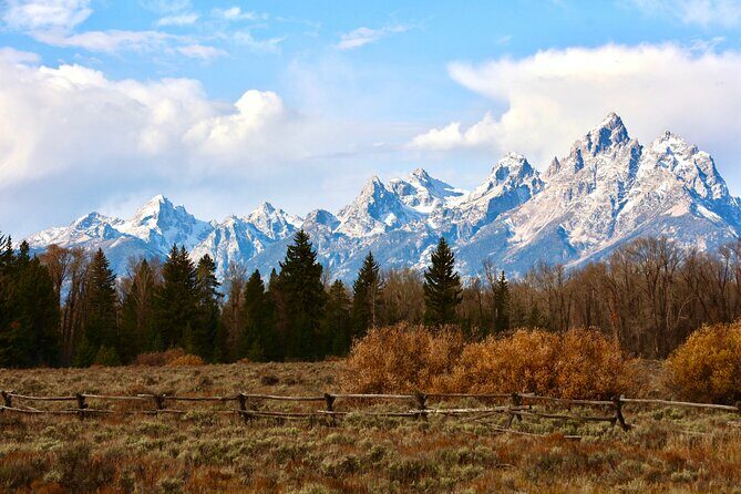 Yellowstone Full Day Tours - The Value of a Guided Tour