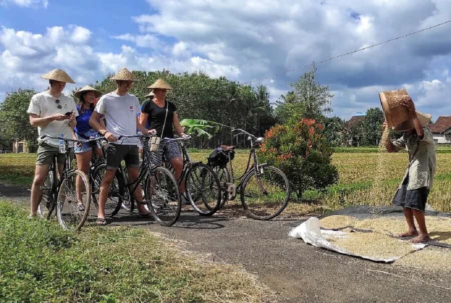 Yogyakarta: Countryside Village Cycling Tour With Guide - Why This Tour Offers Great Value