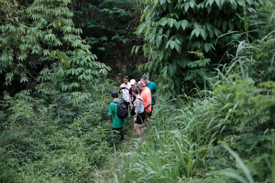 Yogyakarta : Mount Merapi Soft Trek and Botanic Village Tour - The Itinerary in Detail