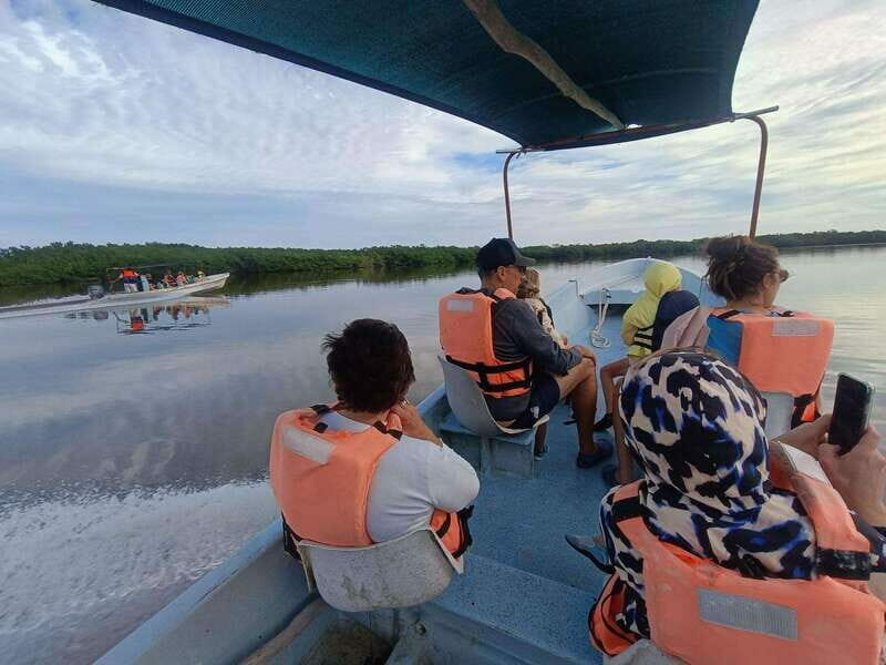 Yucatán: Río Lagartos Biosphere Reserve Boat Tour - What Makes This Tour Stand Out?