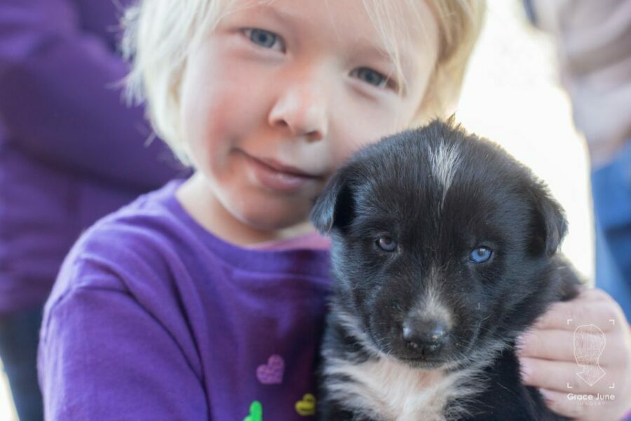 Yukon Dogs and Gold - The Sum Up: Who Will Love Yukon Dogs and Gold?