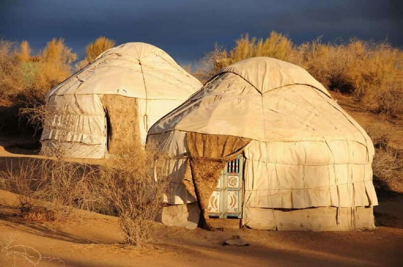 Yurt Camp Tour with Night from Bukhara - The Value and Practicalities