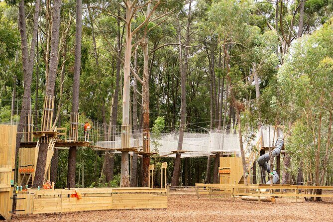 Zipline over the Heysen Trail & Through the Pines of Kuitpo - A Closer Look at the Kuitpo Zipline Adventure