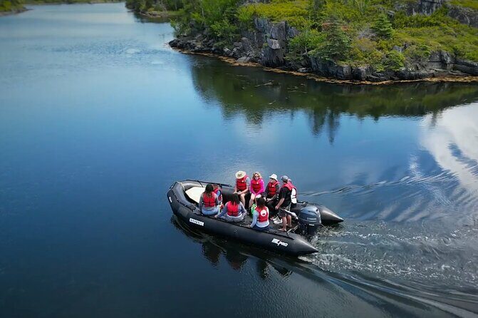 Zodiac Coastal Tour with Naturalist Guide: Lunenburg - Who Will Love This Tour?