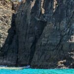 AAA Noosa National Park Tour and Dolphin Safari Whalesongsnoosa - The Reviews Speak Volumes