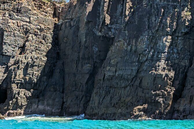 AAA Noosa National Park Tour and Dolphin Safari Whalesongsnoosa - The Reviews Speak Volumes