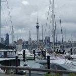 Auckland Highlights Full Day Guided Tour - What’s Included and What’s Not