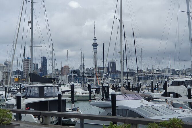 Auckland Highlights Full Day Guided Tour - What’s Included and What’s Not