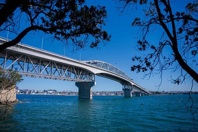 Auckland Museum and Highlight Sightseeing Tour - Transportation and Group Dynamics