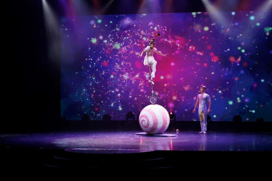 Branson: Grand Shanghai Circus Show Entry Ticket - Who Should Consider This Show?