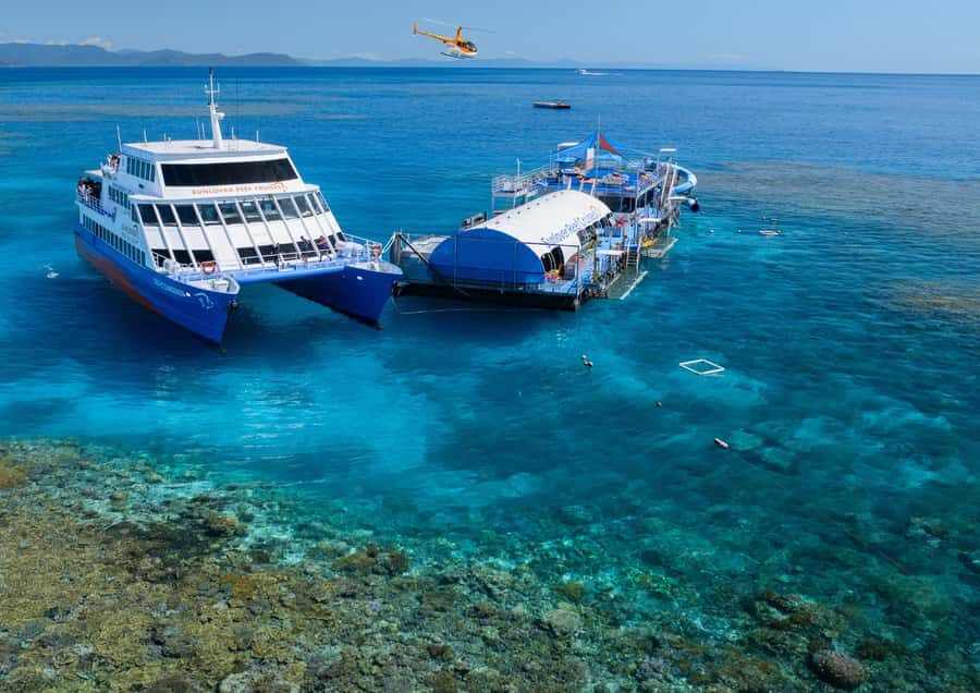 Cairns: Reef Zoom Half Day Helicopter & Snorkeling Tour - The Experience in Detail