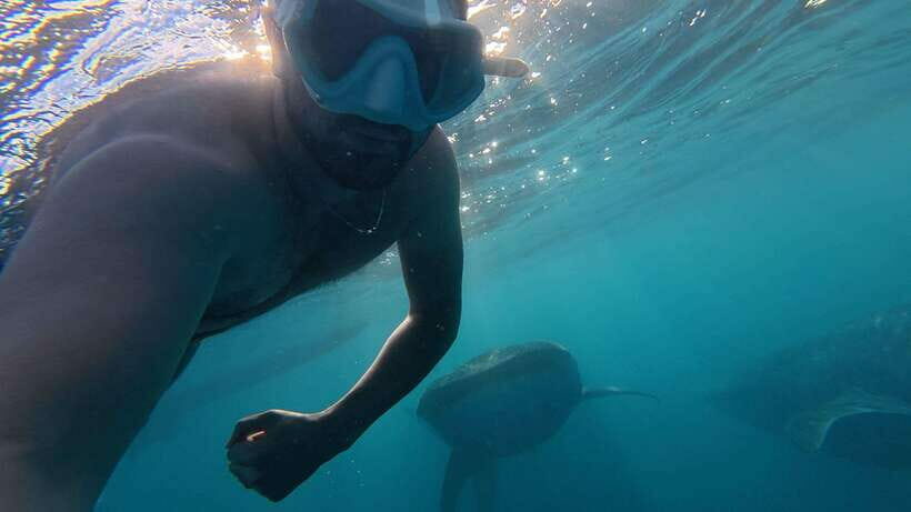 Cebu Oslob Whale Shark Swimming & Kawasan Falls Canyoneering - Who Should Consider This Tour?